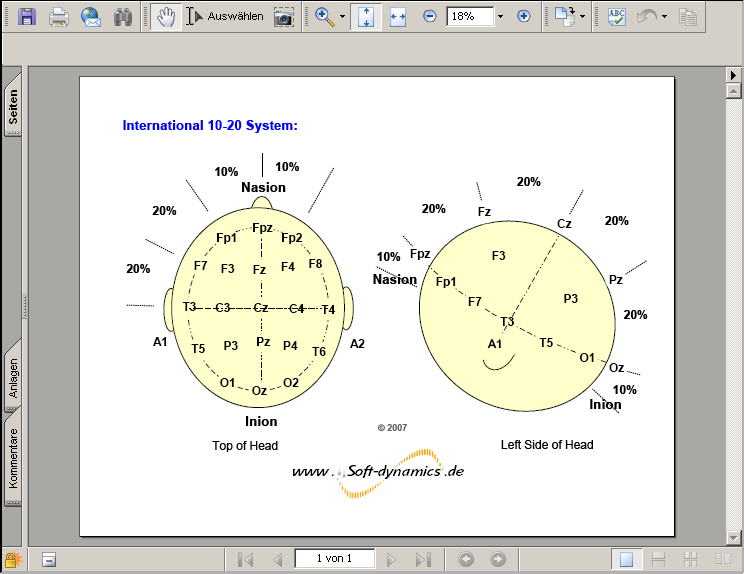 Neurofeedback - International 10-20 System .PDF